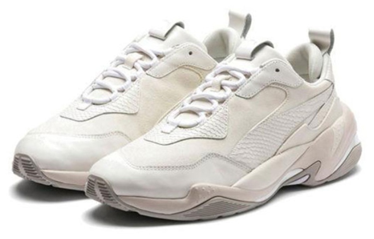 Order GS プーマ サンダー デザート 白 (Puma Sandā Dezāto Shiro) 368462-03