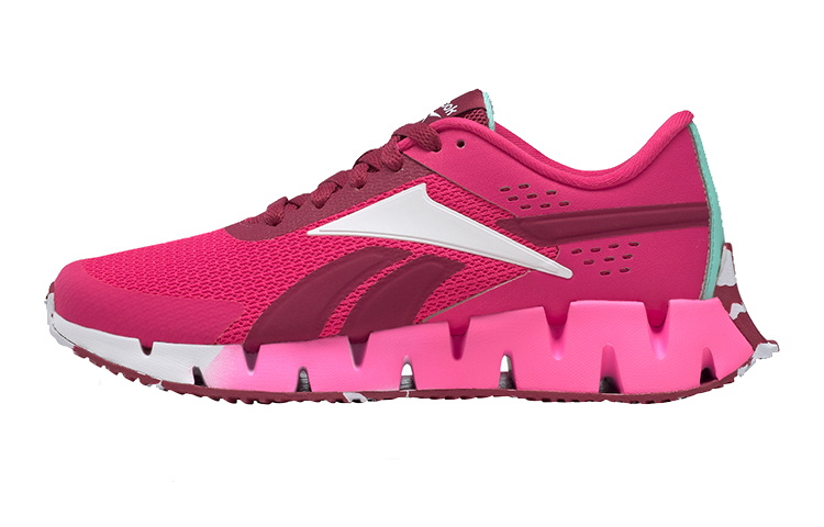 (Grade School) Reebok Zig Dynamica 2 'Pursuit Pink' G57437