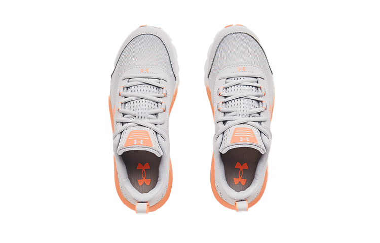 Shop Under Armour Assert 8 ''Halo Grey White'' (Kinderen) 3022100-110