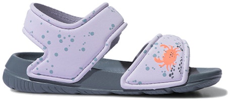 (TD) アディダス ベビー AltaSwim I パープル EG2181 Order (TD) アディダス ベビー AltaSwim I パープル EG2181