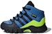 (TD) adidas Terrex Mid GTX 'Biru' D97655