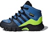 Buy (TD) adidas Terrex Mid GTX 'Biru' D97655
