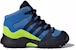 (TD) adidas Terrex Mid GTX 'Biru' D97655