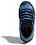 Purchase (TD) adidas Terrex Mid GTX 'Biru' D97655