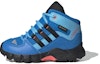 Buy (TD) adidas Terrex Mid GTX 'Indigo' Lelaki Hiking Kasut GZ1145