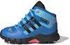 Buy (TD) adidas Terrex Mid GTX ''Indigo'' Scarpe da Escursionismo GZ1145