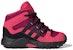(TD) adidas Terrex Mid GTX 'Merah Jambu Ungu' FY2220