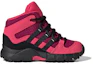 Order (TD) adidas Terrex Mid GTX ''Roze Paars'' FY2220