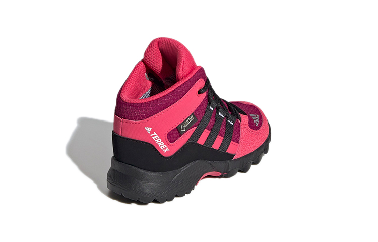 Shop (TD) adidas Terrex Mid GTX ''Roze Paars'' FY2220