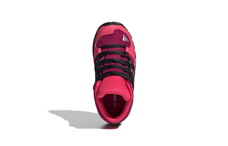 Purchase (TD) adidas Terrex Mid GTX ''Roze Paars'' FY2220