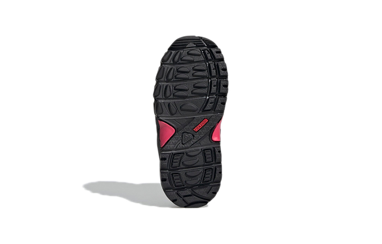 Details for (TD) adidas Terrex Mid GTX ''Roze Paars'' FY2220
