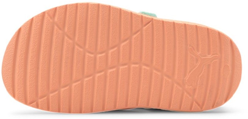 (TD) Sandal Puma Divecat 'Cantaloupe' 369545-06 Purchase (TD) Sandal Puma Divecat 'Cantaloupe' 369545-06