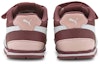 Shop (TD) Puma St Runner V2 NL Infantil 'Marrón Velcro' 365295-22