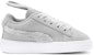 (TD) Puma Suede 'Easter AC Inf - Kasut Kasual Tapak Rendah Kelabu' 368946-03