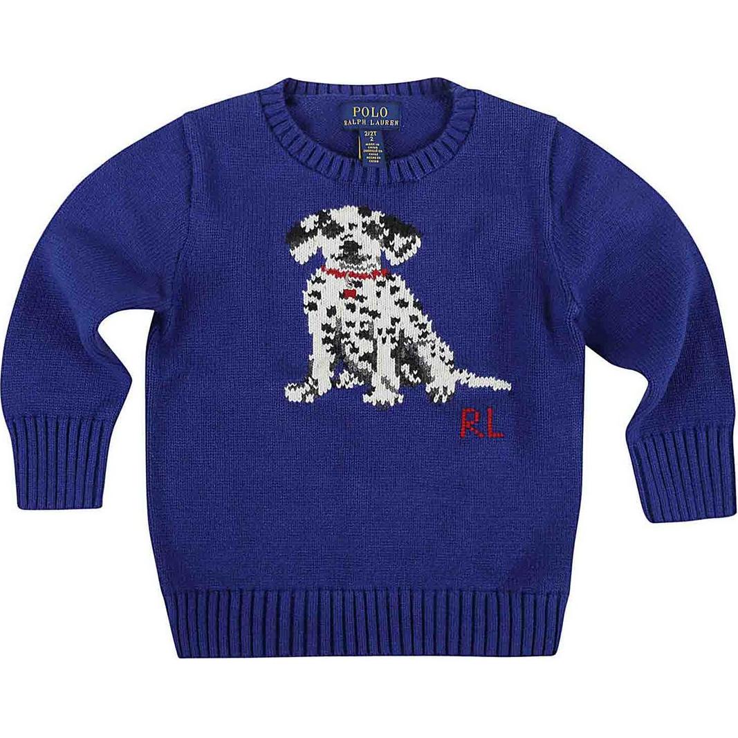 (Pre School) Polo Ralph Lauren Kids' Blue Graphic Crewneck Pullover Sweater - Long Sleeve 323920667-001