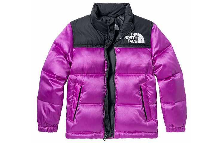 (Pre School) The North Face Kids' 1996 Retro Nuptse 700 Fill Down Jacket Colorblock NF0A5IYC-24M