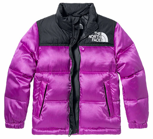 pre-school-the-north-face-kids-1996-retro-nuptse-700-fill-down-jacket-colorblock-nf-0-a5-iyc-24-m