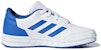 (PS) adidas Altasport K 'Putih Biru' D96869
