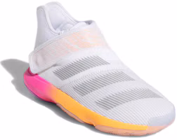 Lookbook 兒童 adidas Harden B/E 3 K 中幫 籃球鞋 白灰