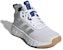 (PS) adidas Ownthegame 2.0 'Putih Kelabu' GW1553