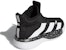 (PS) adidas Pro Next 2019 J 'Hitam Putih' EF9809