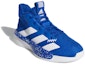 Lookbook (PS) adidas Pro Next K Kasut Biru/Putih EH3062