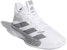 (PS) adidas Pro Next Putih/Kelabu EF9812