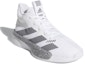 Lookbook (PS) adidas Pro Next Putih/Kelabu EF9812