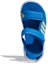 Purchase (Preschool) adidas RapidaSwim Sandals White/Blue G54799