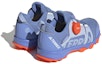 Shop (PS) adidas Terrex Agravic 'Biru Oren' HQ3498