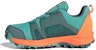 (PS) adidas Terrex Agravic Boa 'Emerald' Lelaki & Wanita Kasut Larian FX4098