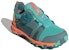 (PS) adidas Terrex Agravic Boa 'Emerald' Lelaki & Wanita Kasut Larian FX4098