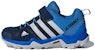 (PS) adidas Terrex Ax2r Cf K 'Biru' CM7654