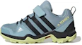 Buy 兒童 adidas Terrex AX2R Cf K 藍
