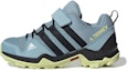 Buy (PS) adidas Terrex AX2R Cf K 'Biru' EF2234