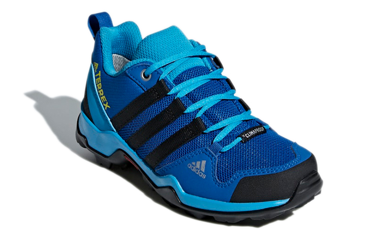 Lookbook (PS) adidas Terrex AX2R Rain.Rdy Randonnée ''Bleu'' BC0675