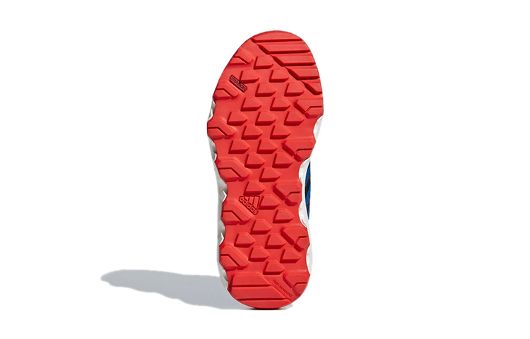 Details for (PS) adidas Terrex Cc Voyager ''Bleu'' BC0537