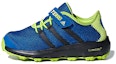 Buy (PS) adidas Terrex Cc Voyager Cf K 'Biru Hijau' CM7683