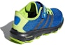 Shop (PS) adidas Terrex Cc Voyager Cf K 'Biru Hijau' CM7683