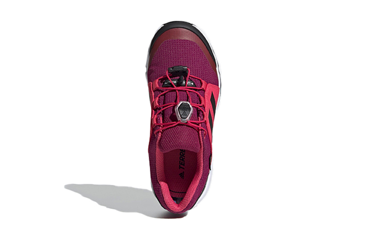 Purchase (PS) adidas Terrex Gore-Tex ''Roze Paars Zwart'' FW9760