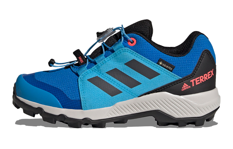 (Preschool) adidas Terrex Gore-Tex Hiking K 'Blue' GY7660