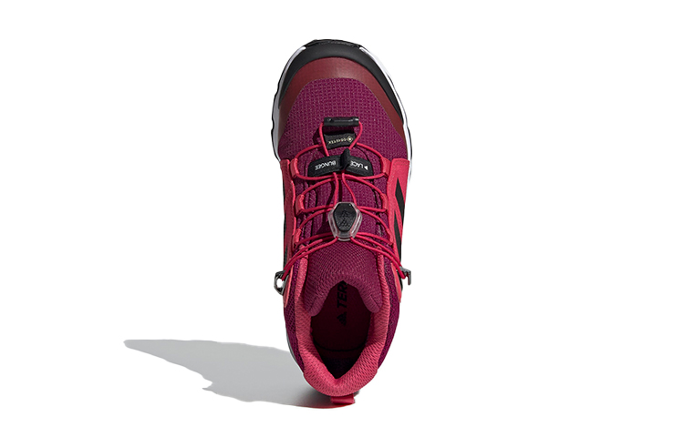 Purchase (PS) adidas Terrex Mid Gore-Tex Wanderschuhe ''Lila Schwarz'' FW9758