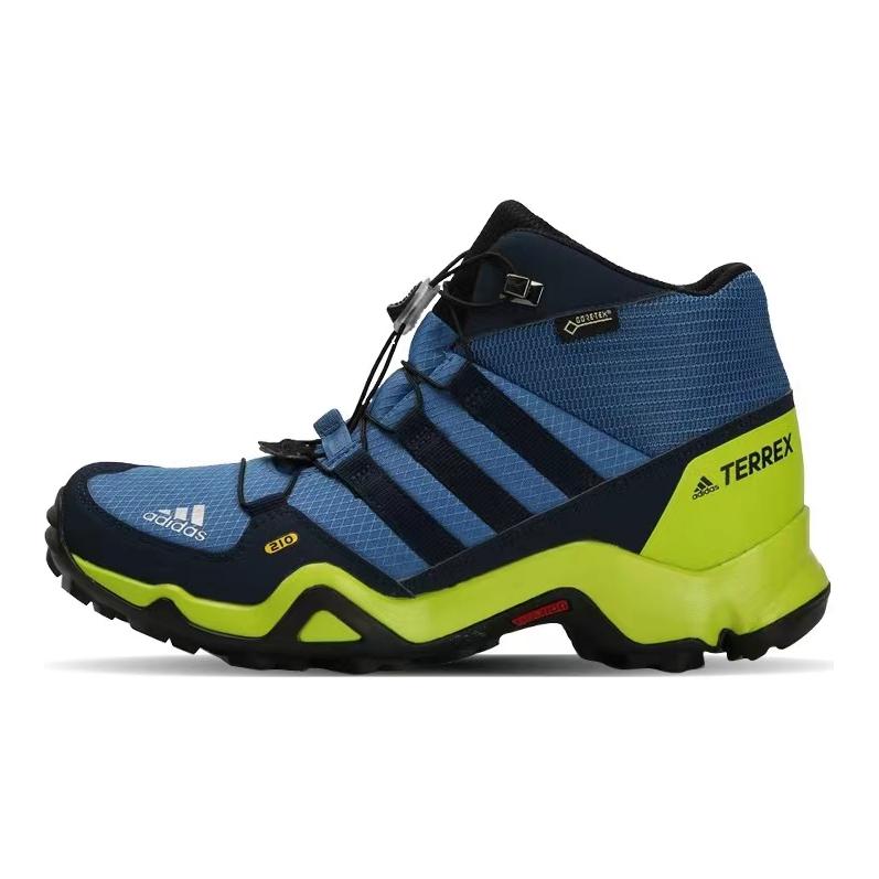 (Preschool) adidas Terrex Mid GTX K Shoes Blue/Black/Green CM7710