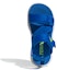 Purchase (PS) adidas Terrex Sandal Sumra Biru Kanak-kanak FV0832