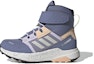 Buy (PS) adidas Terrex Trailmaker High Cold.RDY K 'Biru Azure' Q46436
