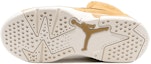 Purchase (PS) Air Jordan 6 Retro 'Wheat' Coklat Gandum 384666-705