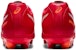 (Preschool) ASICS DS Light Junior 'Red Comfort' 1104A046-600