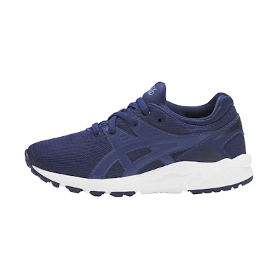 (PS) ASICS Gel-Kayano Trainer Evo 'Blue White'