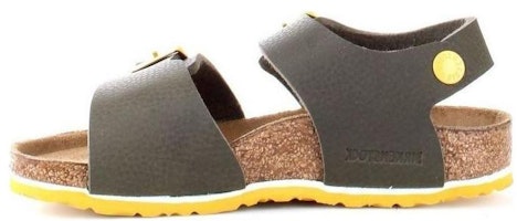 (Preschool) Birkenstock Buckle Leather Sandals 'Green' 1015754 (Preschool) Birkenstock Buckle Leather Sandals 'Green' 1015754