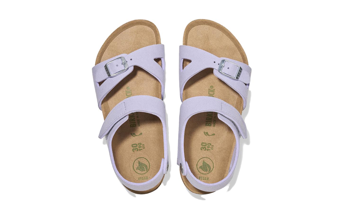 Shop (Preschool) Birkenstock Sandal 'Misty Purple Regular Edition' 1025200